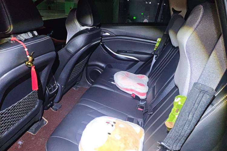 Used BYD Song New Energy 2019 Song DM 1.5TID Smart Connect Dynamic Model Left Rear Seat