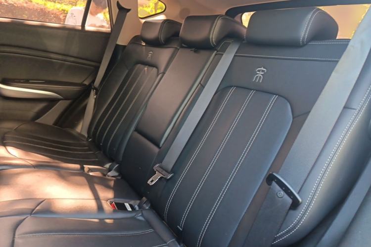 Used BYD Song New Energy 2019 Song EV500 Smart Connect Leading Model Left Rear Seat