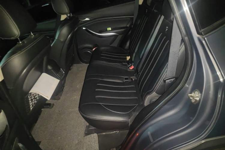 Used BYD Song New Energy 2019 Song DM 1.5TID Smart Connect Dynamic Model Left Rear Seat