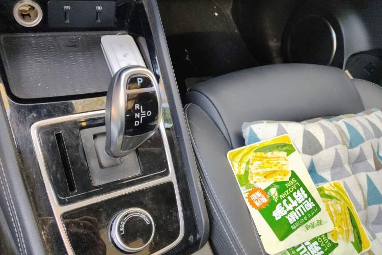 Used BYD Song New Energy 2019 Song EV500 Smart Connect Elite Model Gear Lever