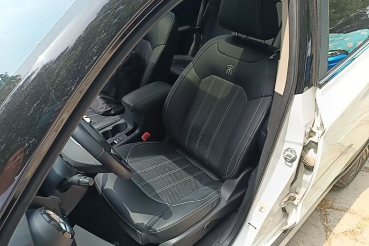 Used BYD Song New Energy 2019 Song EV500 Smart Connect Luxe Model Left Front Seat