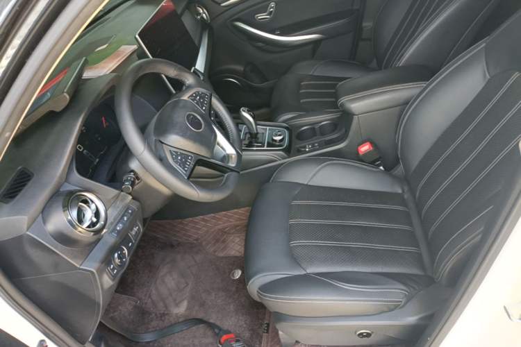 Used BYD Song New Energy 2019 Song EV500 Smart Connect Luxe Model Left Front Seat