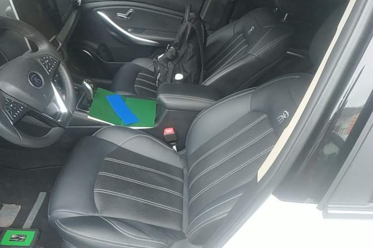 Used BYD Song New Energy 2019 Song EV500 Smart Connect Luxe Model Left Front Seat