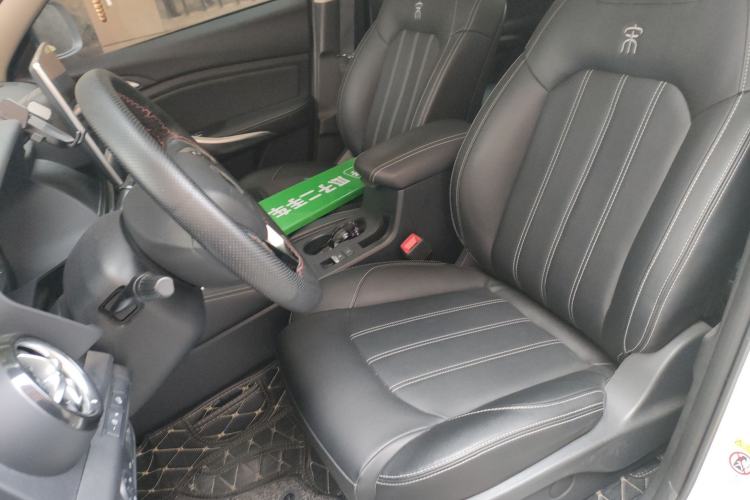 Used BYD Song New Energy 2019 Song EV500 Smart Connect Leading Model Left Front Seat