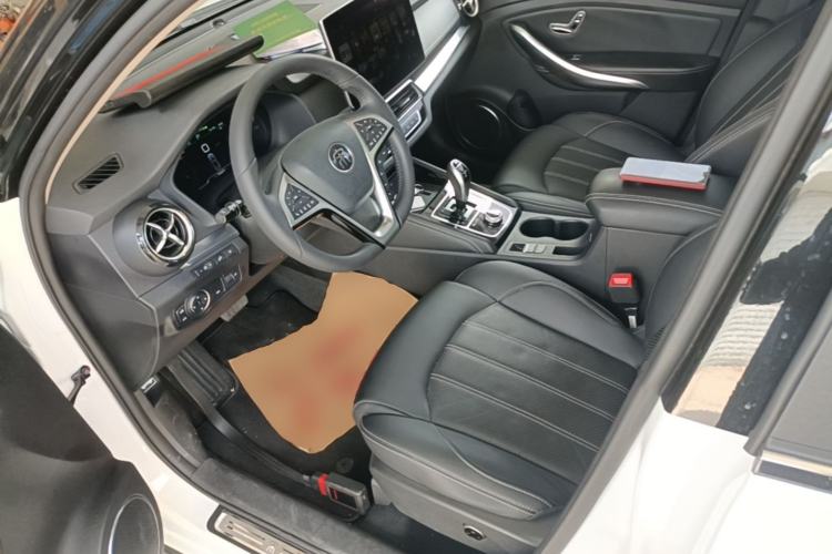Used BYD Song New Energy 2019 Song EV500 Smart Connect Luxe Model Left Front Seat