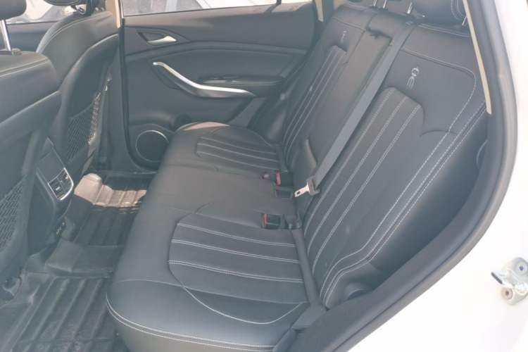Used BYD Song New Energy 2019 Song DM 1.5TID Smart Connect Dynamic Model Left Rear Seat