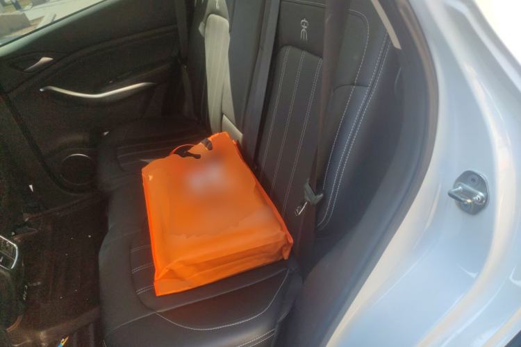 Used BYD Song New Energy 2019 Song EV500 Smart Connect Elite Model Left Rear Seat