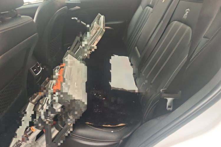 Used BYD Song New Energy 2019 Song EV500 Smart Connect Luxe Model Left Rear Seat