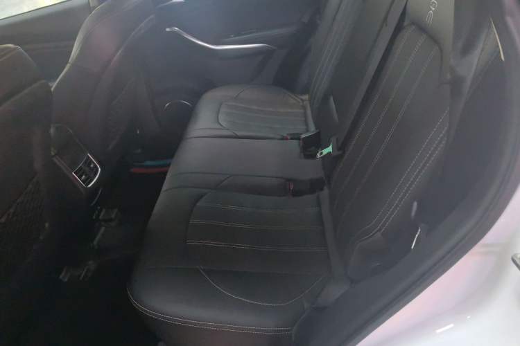 Used BYD Song New Energy 2019 Song DM 1.5TID Smart Connect Sharp Edition Left Rear Seat