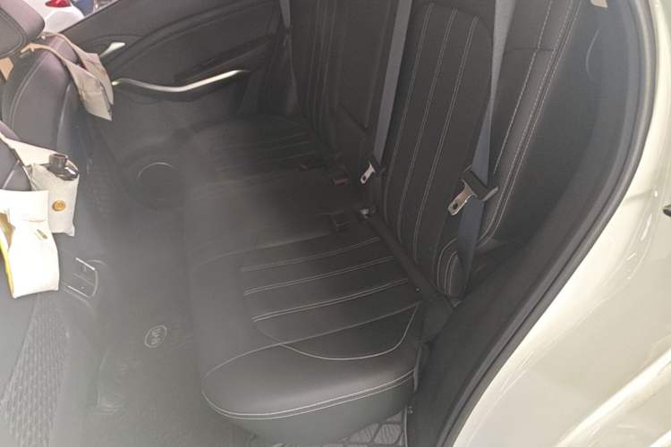 Used BYD Song New Energy 2019 Song DM 1.5TID Smart Connect Dynamic Model Left Rear Seat