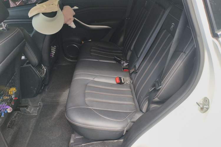 Used BYD Song New Energy 2019 Song DM 1.5TID Smart Connect Premium Model Left Rear Seat