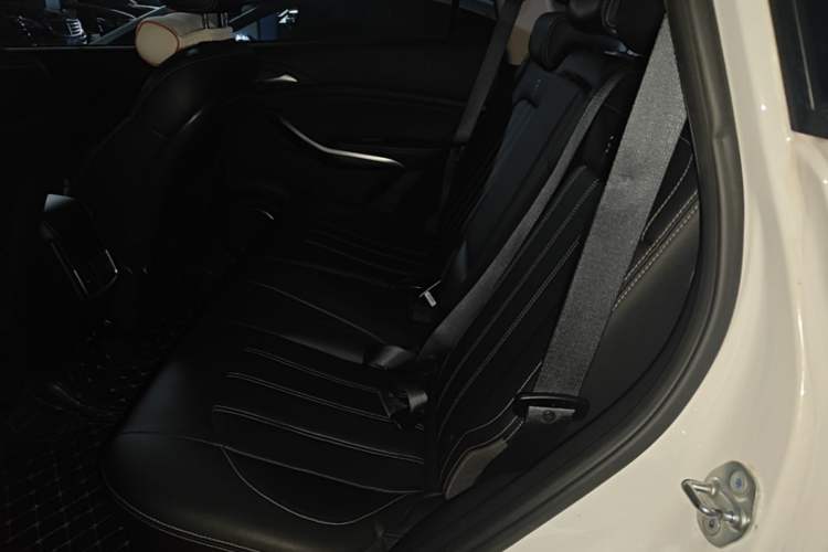 Used BYD Song New Energy 2019 Song DM 1.5TID Smart Connect Premium Model Left Rear Seat
