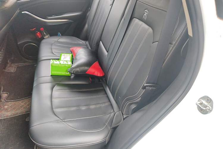 Used BYD Song New Energy 2019 Song DM 1.5TID Smart Connect Dynamic Model Left Rear Seat