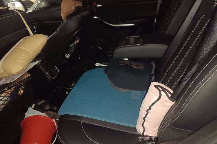 Used BYD Song New Energy 2019 Song EV500 Smart Connect Luxe Model Left Rear Seat