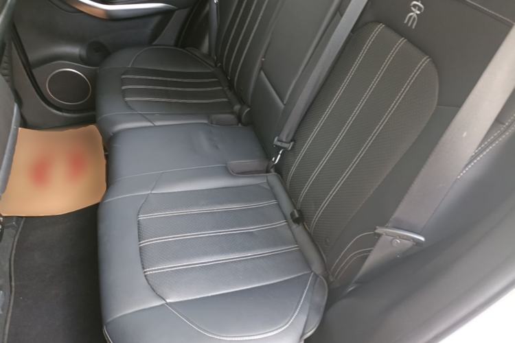 Used BYD Song New Energy 2019 Song EV500 Smart Connect Luxe Model Left Rear Seat
