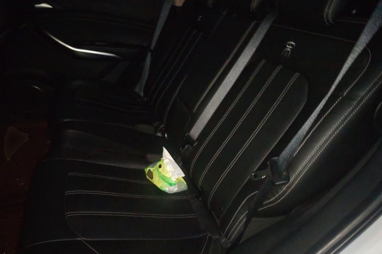 Used BYD Song New Energy 2019 Song EV500 Smart Connect Elite Model Left Rear Seat