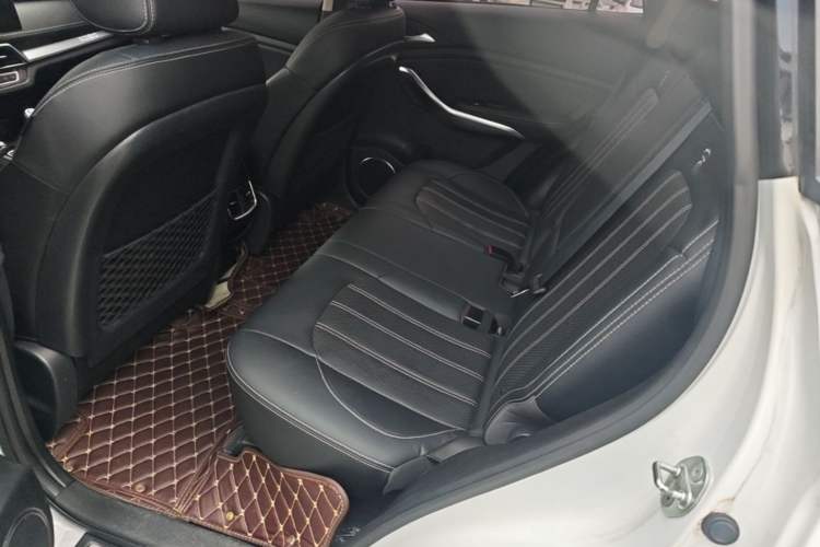 Used BYD Song New Energy 2019 Song DM 1.5TID Smart Connect Sharp Edition Left Rear Seat