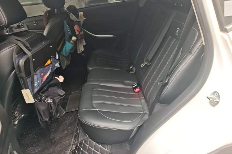 Used BYD Song New Energy 2019 Song EV500 Smart Connect Elite Model Left Rear Seat