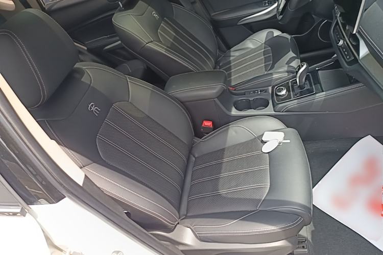 Used BYD Song New Energy 2019 Song EV500 Smart Connect Luxe Model Right Front Seat