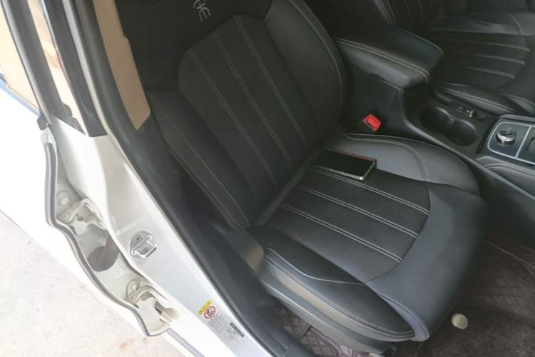 Used BYD Song New Energy 2019 Song EV500 Smart Connect Luxe Model Right Front Seat