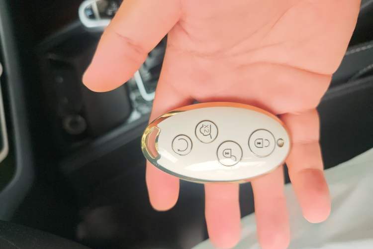 Used BYD Song New Energy 2019 Song EV500 Smart Connect Luxe Model Vehicle Key