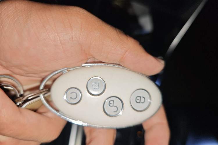 Used BYD Song New Energy 2019 Song DM 1.5TID Smart Connect Premium Model Vehicle Key