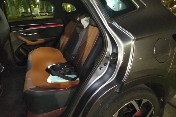 Used BYD Song PLUS 2020 1.5T Automatic Flagship PLUS Left Rear Seat
