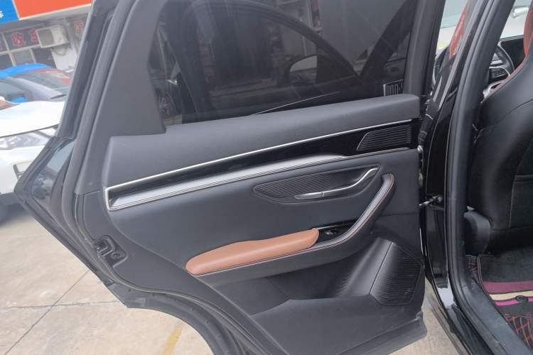 Used BYD Song PLUS 2020 1.5T Automatic Prestige Version Left Rear Door Interior
