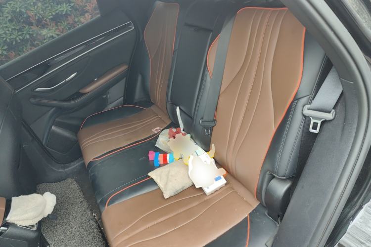 Used BYD Song PLUS 2020 1.5T Automatic Prestige Version Left Rear Seat