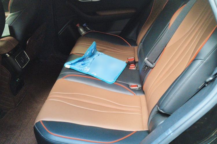 Used BYD Song PLUS 2020 1.5T Automatic Prestige Version Left Rear Seat
