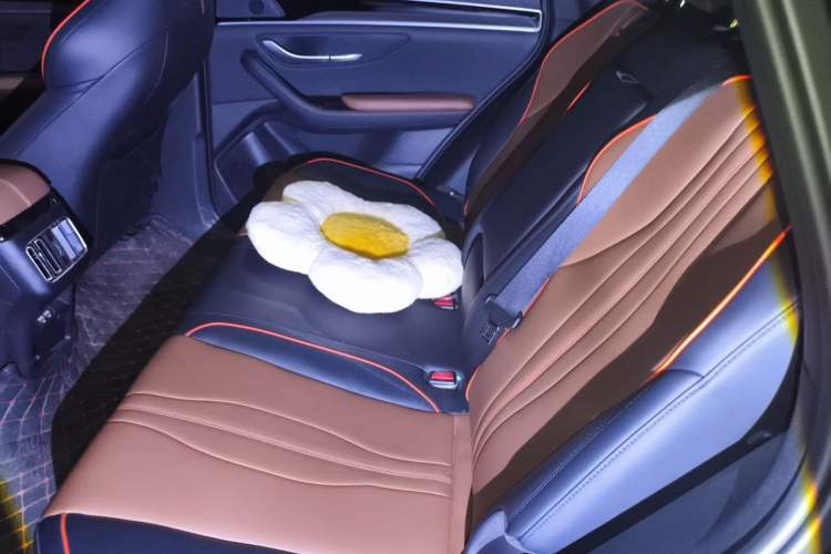 Used BYD Song PLUS 2020 1.5T Automatic Prestige Version Left Rear Seat