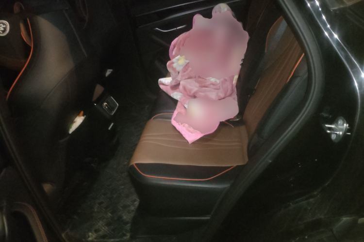 Used BYD Song PLUS 2020 1.5T Automatic Prestige Version Left Rear Seat