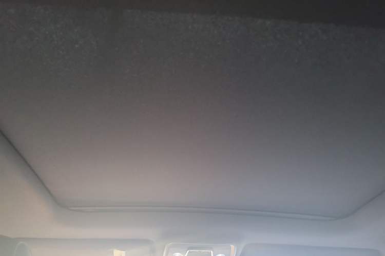 Used BYD Song PLUS 2020 1.5T Automatic Flagship Edition Headliner