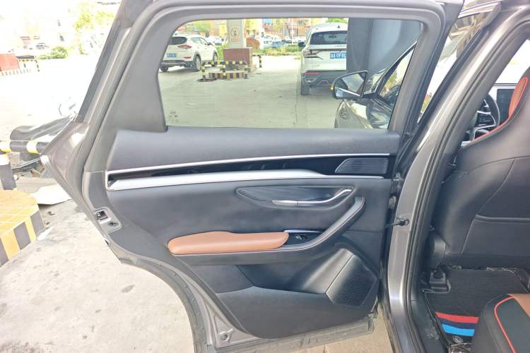 Used BYD Song PLUS 2020 1.5T Automatic Prestige Version Left Rear Door Interior