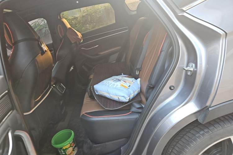 Used BYD Song PLUS 2020 1.5T Automatic Prestige Version Left Rear Seat