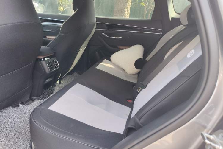 Used BYD Song PLUS 2020 1.5T Automatic Prestige Version Left Rear Seat