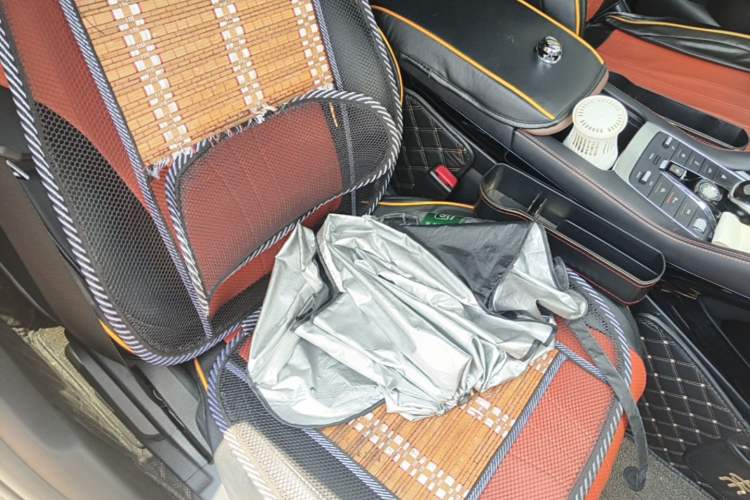 Used BYD Song PLUS 2020 1.5T Automatic Prestige Version Right Front Seat