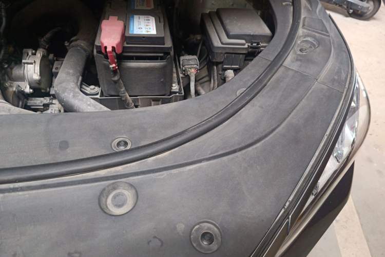 Used BYD Song PLUS 2020 1.5T Automatic Flagship Edition Engine Bay Left