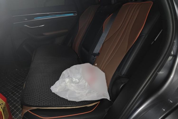 Used BYD Song PLUS 2020 1.5T Automatic Flagship Edition Interior 4