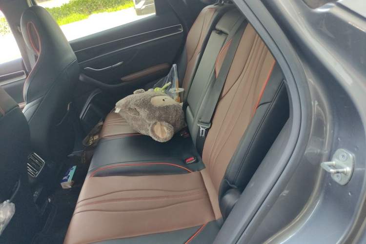 Used BYD Song PLUS 2020 1.5T Automatic Prestige Version Left Rear Seat