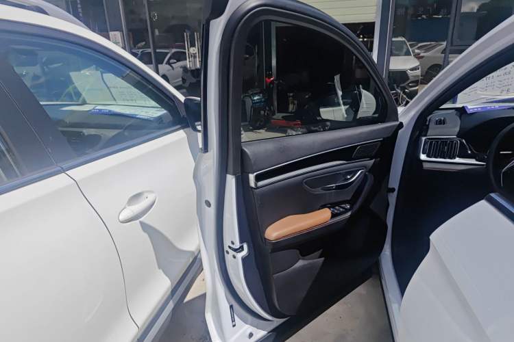 Used BYD Song PLUS 2020 1.5T Automatic Prestige Version Left Front Door Interior