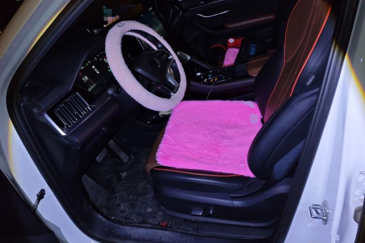 Used BYD Song PLUS 2020 1.5T Automatic Flagship Edition Left Front Seat
