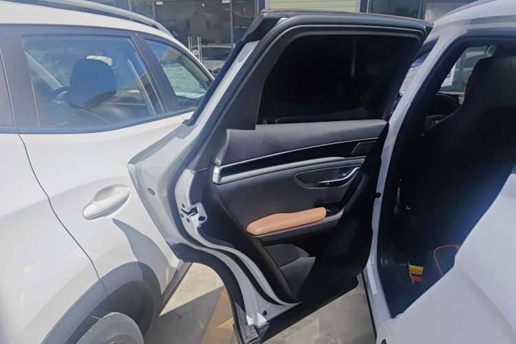 Used BYD Song PLUS 2020 1.5T Automatic Prestige Version Left Rear Door Interior