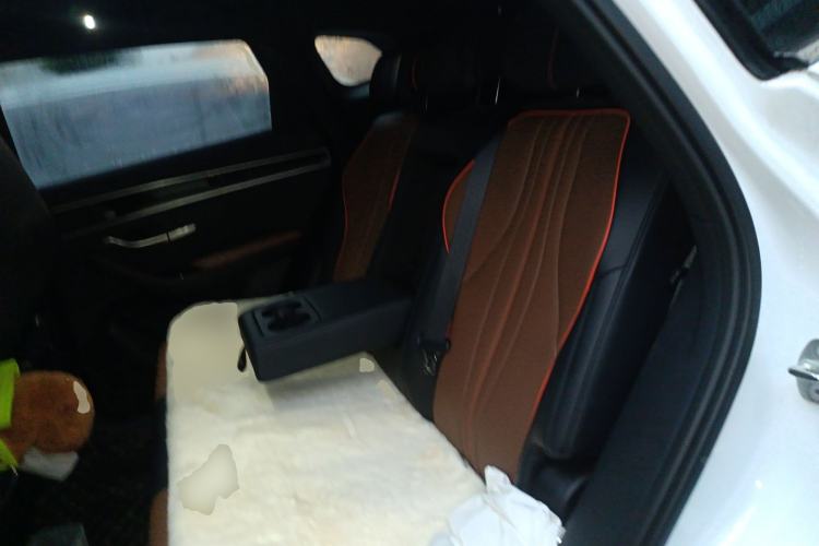 Used BYD Song PLUS 2020 1.5T Automatic Flagship Edition Left Rear Seat