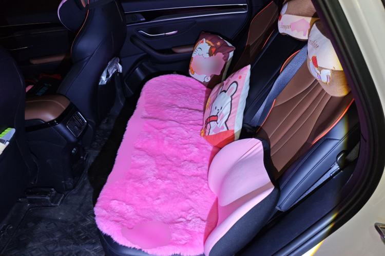 Used BYD Song PLUS 2020 1.5T Automatic Flagship Edition Left Rear Seat