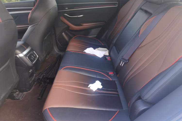 Used BYD Song PLUS 2020 1.5T Automatic Flagship PLUS Left Rear Seat