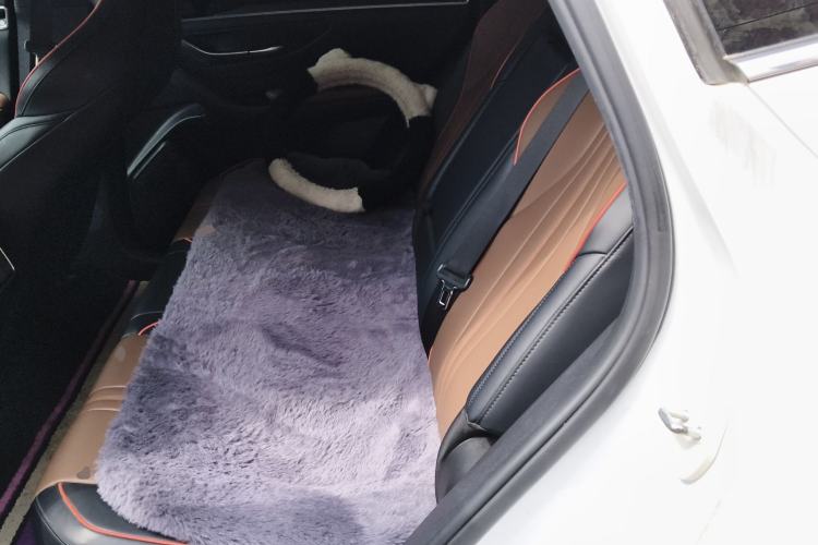 Used BYD Song PLUS 2020 1.5T Automatic Prestige Version Left Rear Seat