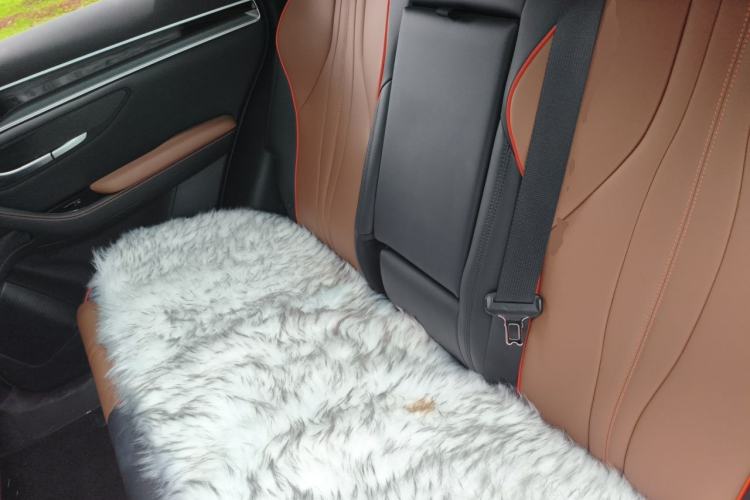 Used BYD Song PLUS 2020 1.5T Automatic Flagship Edition Left Rear Seat