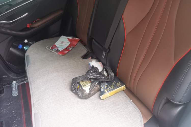 Used BYD Song PLUS 2020 1.5T Automatic Prestige Version Left Rear Seat