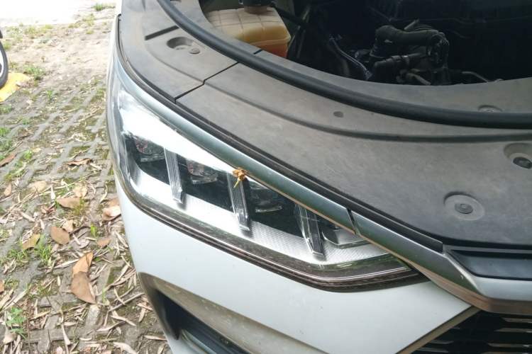 Used BYD Song PLUS 2020 1.5T Automatic Luxury Version Right Front Headlight